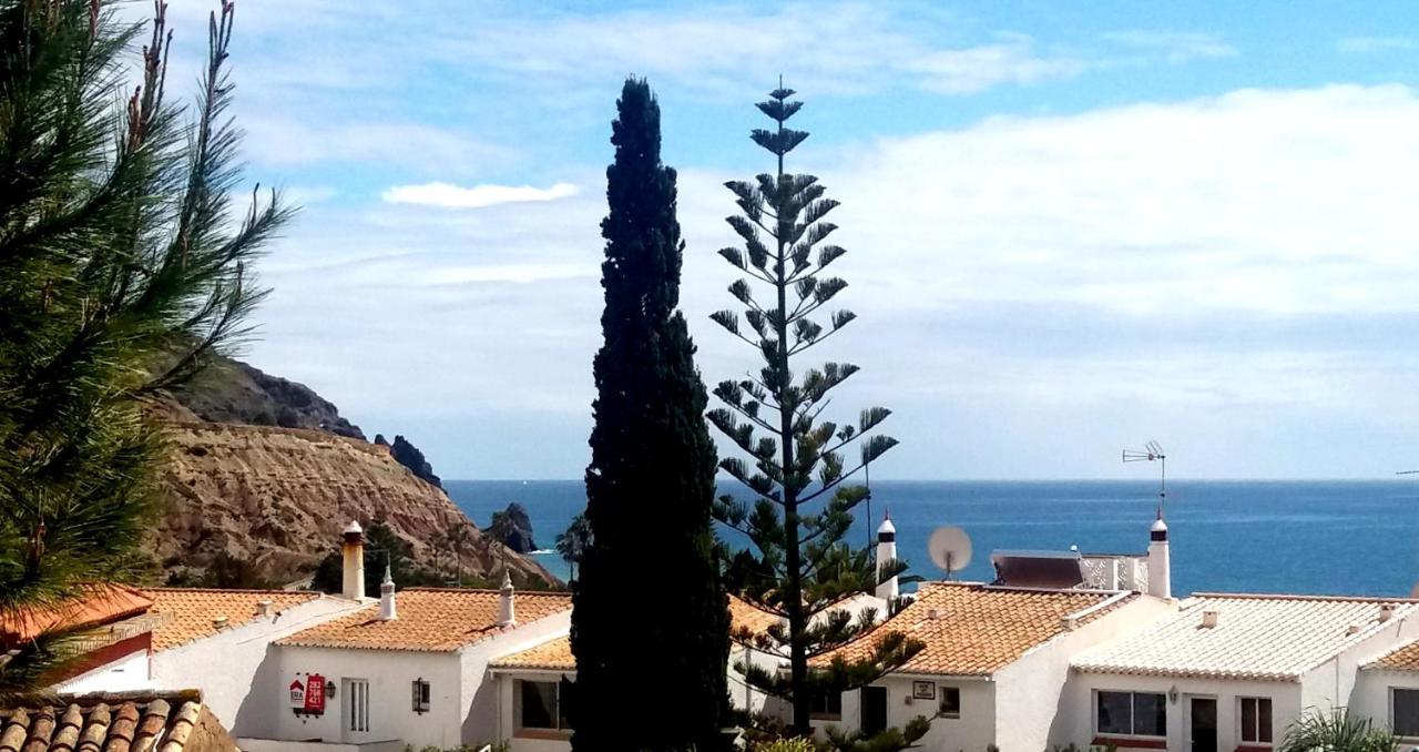 Queen Palm Luz Exteriér fotografie