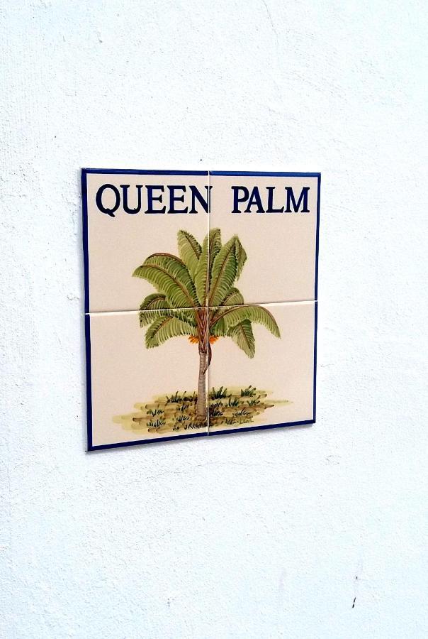 Queen Palm Luz Exteriér fotografie